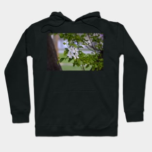 White Crab Apple Blossoms Hoodie